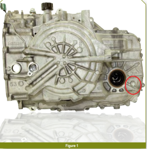 fig1