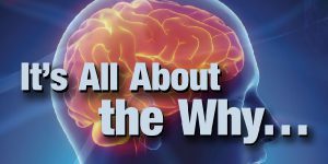 allaboutthewhy