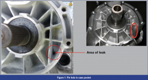 zf8 figure 1