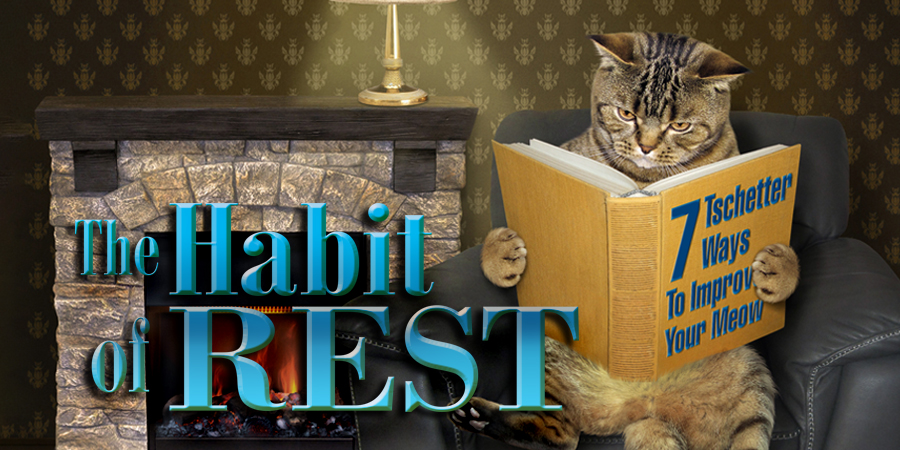 UpYourBusiness_ftrd_09-20