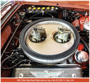 1957-E-Bird_fig-01