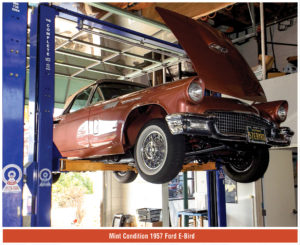 1957-E-Bird_fig-02