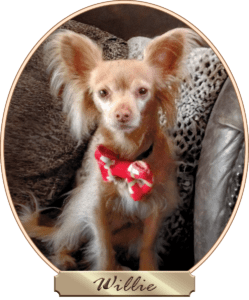 Willie-UpYourBusiness-0323