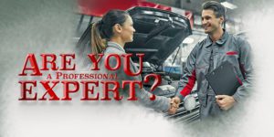 SuccessStrategies_Professional-Expert_ftrd_08-24