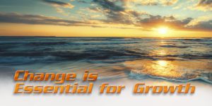 FromTheExecutiveDirector_ftrd_12-24