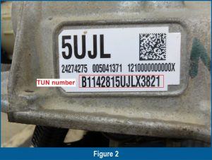 Figure-2_TAG